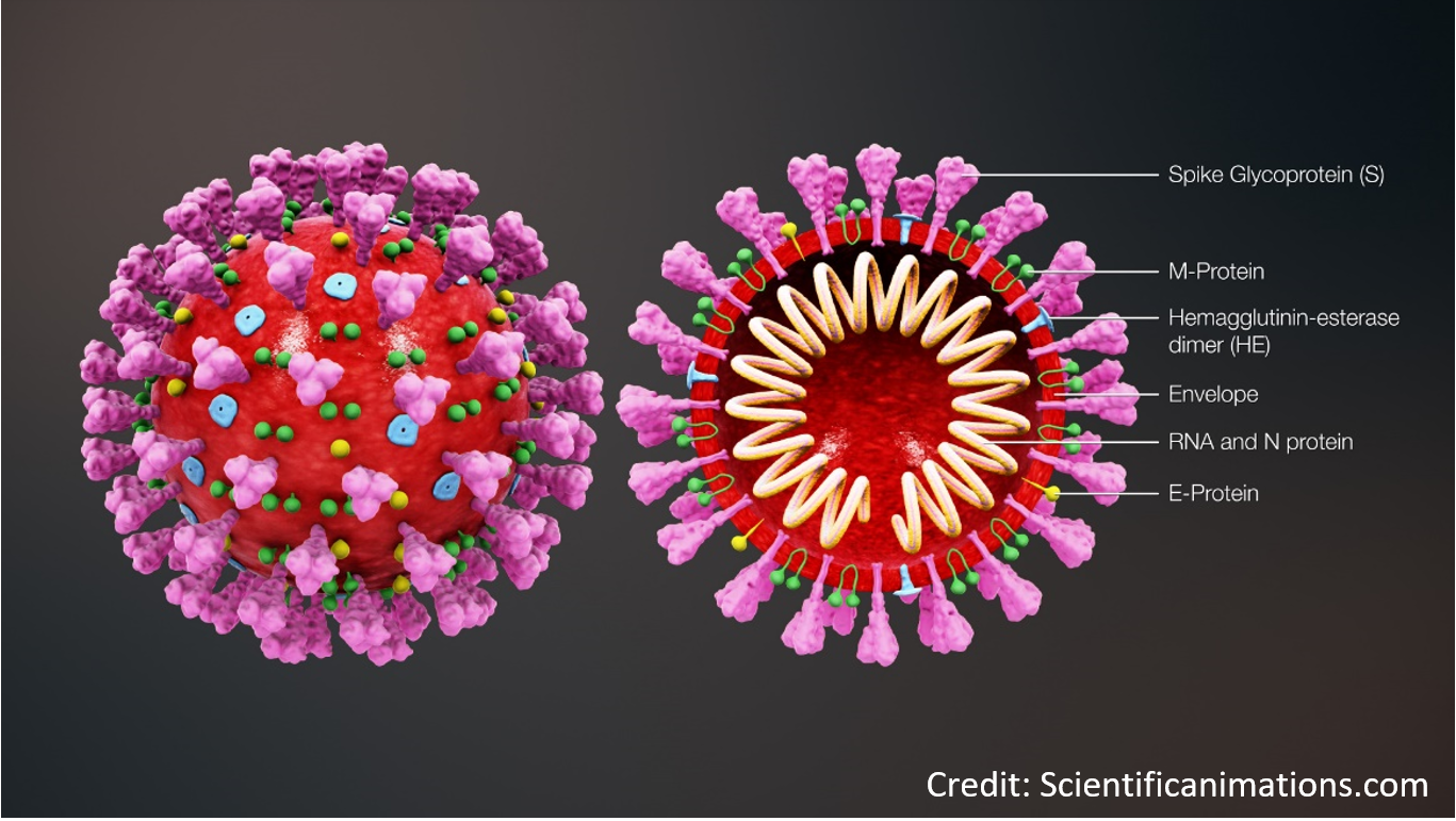 7 faktů o virech